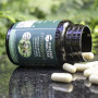 CYTOPROPOLIS グリーン プロポリス 高フェノール化合物 30 カプセル - PHARMANECTAR